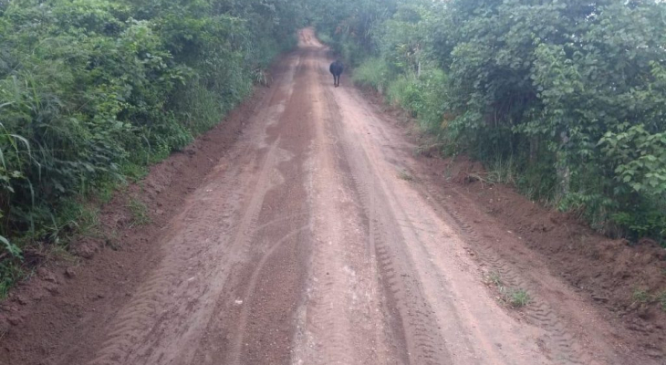 Ações do Programa Estrada Boa continuam na zona rural de Palmeira dos Índios