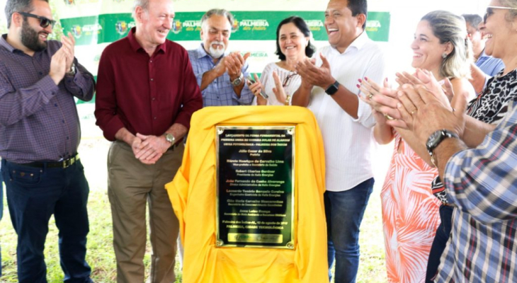 Empresa aposta em progresso de Palmeira para implantação de usina de energia solar