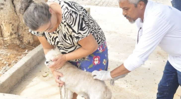 Campanha de Vacinação Antirrábica começa neste sábado (27) em Palmeira