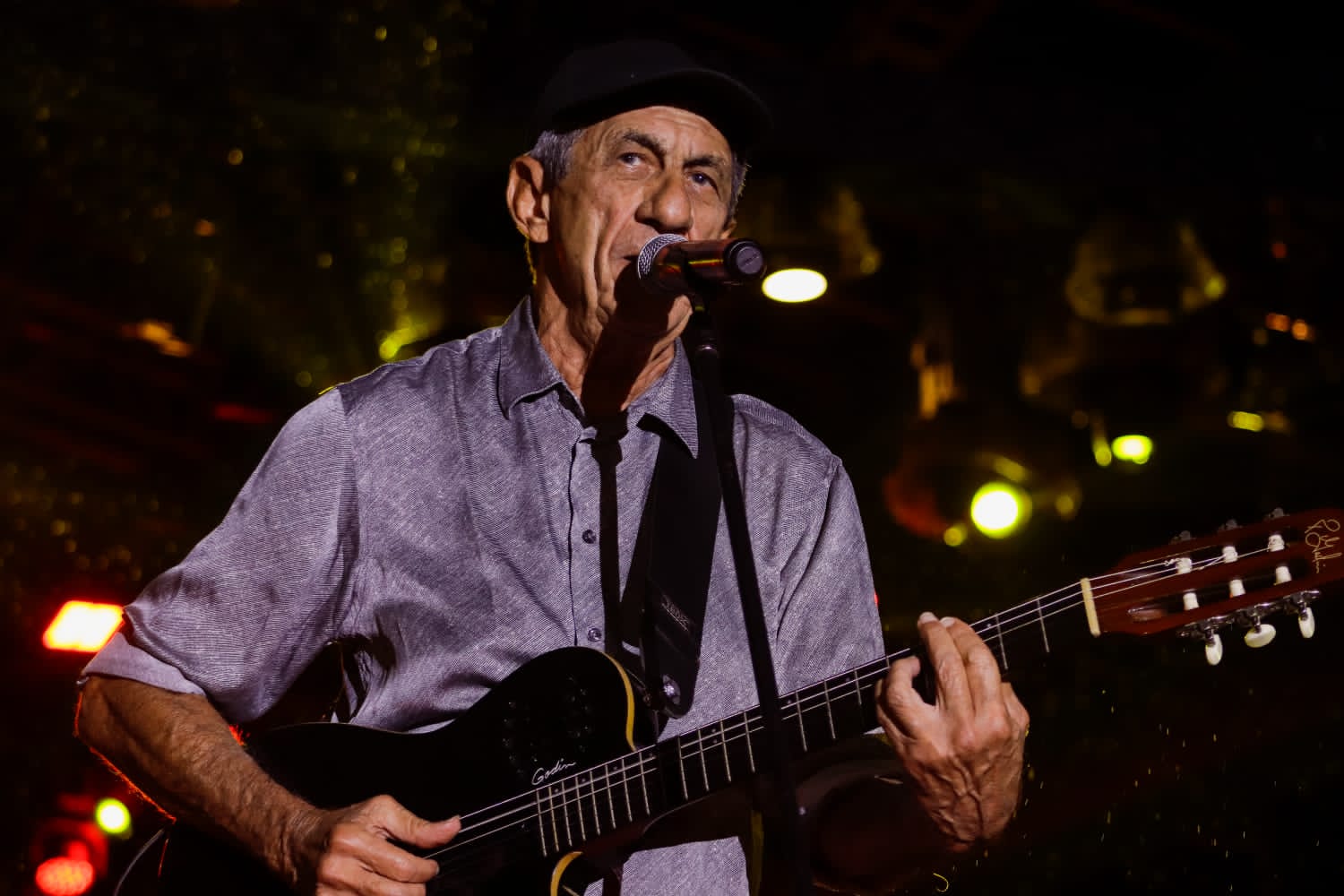 Raimundo Fagner e Limão com Mel agitam a segunda noite do FIPI ...